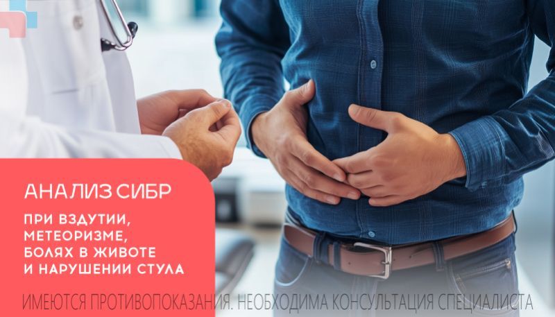 Анализ СИБР 